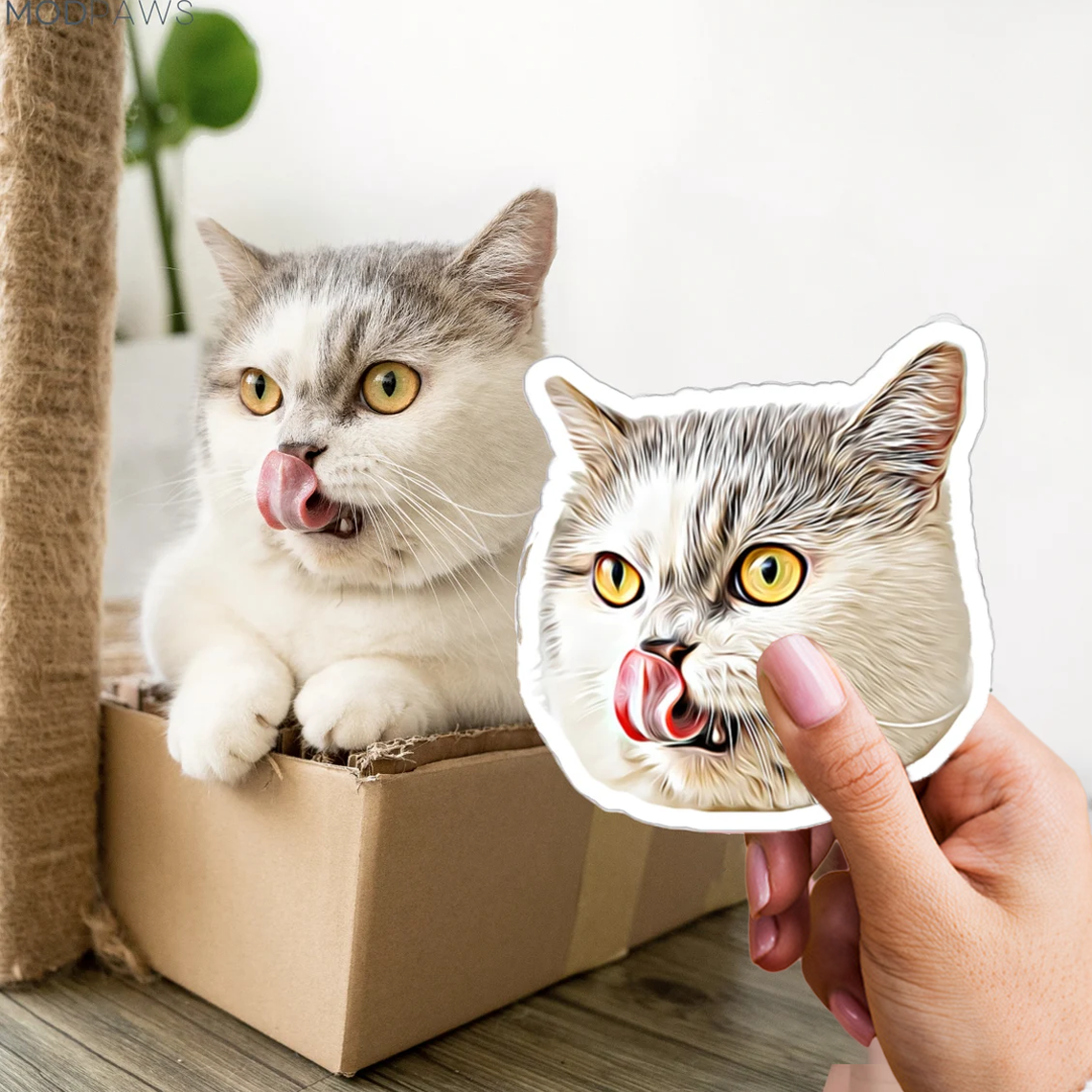 3x personalizovaná nálepka pre vášho domáceho miláčika